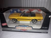 ERTL American Muscle 1:18 1969 Shelby GT 500 Yellow Baden-Württemberg - Mosbach Vorschau