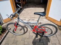 Mountainbike zu verkaufen Saarland - Schmelz Vorschau