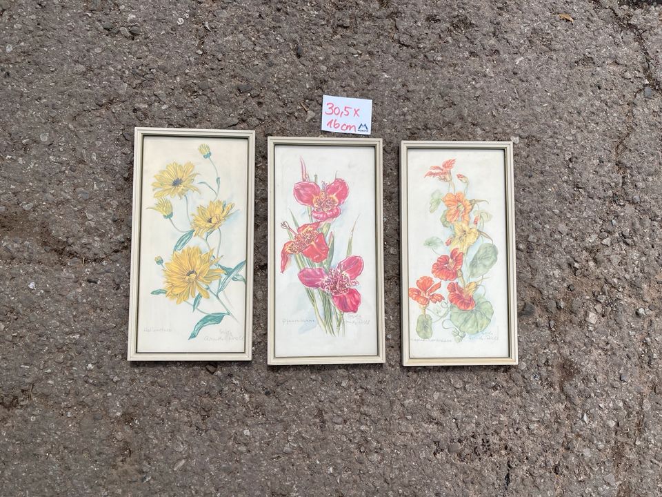 Omas Florale gerahmte Bilder von Oma 30,5 x 16cm 3 Stück in Bexbach