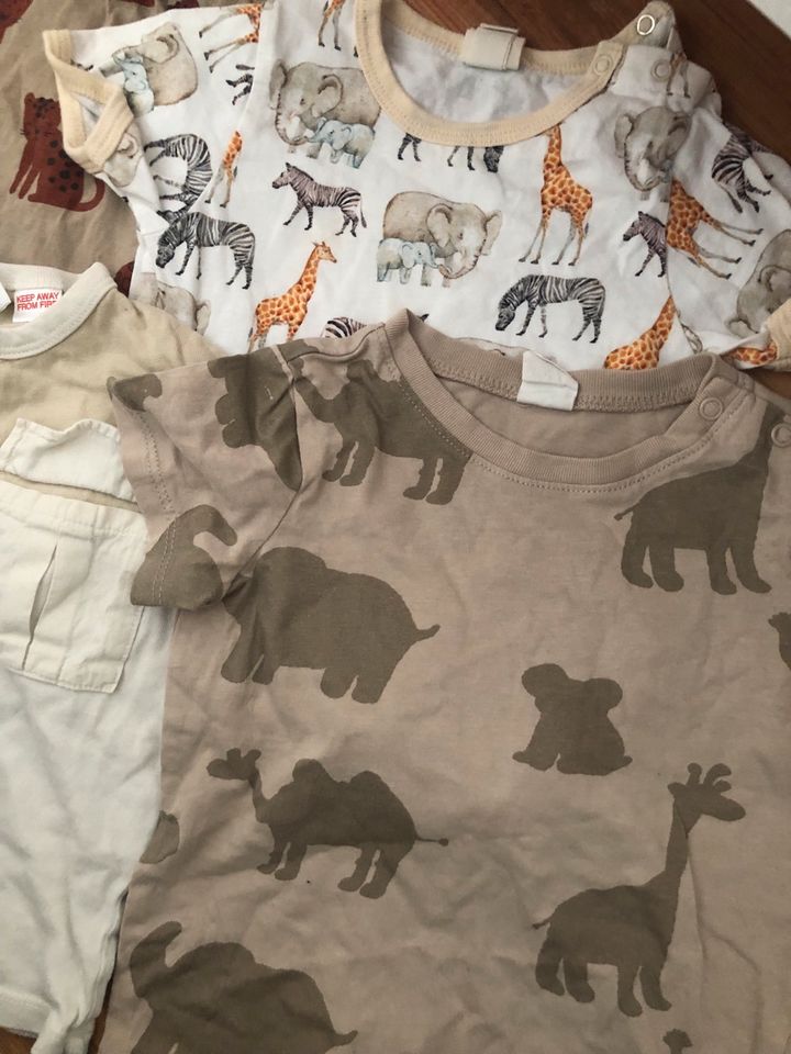 7x H&M Zara Alana T-Shirts-Paket Jungen Gr. 80 1x neu Sommer Tier in Ilsede