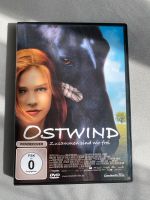 Dvd Ostwind Thüringen - Arnstadt Vorschau