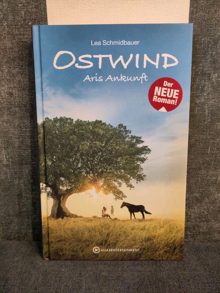 Buch "Ostwind - Aris Ankunft" in Veitsrodt