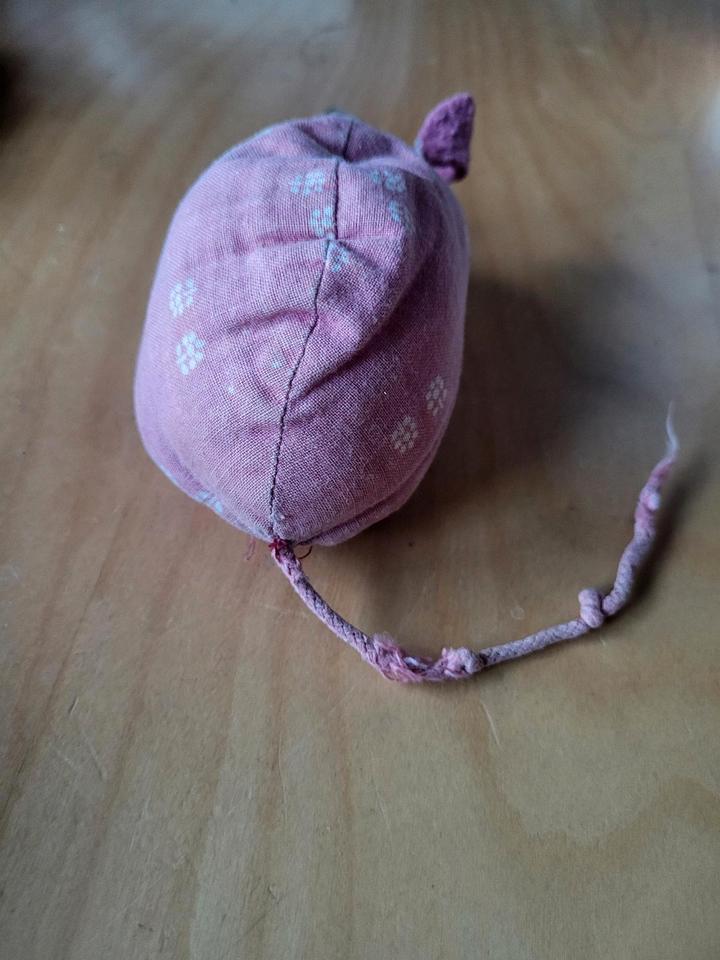 Maus Sigikid zu verschenken in Rommerskirchen