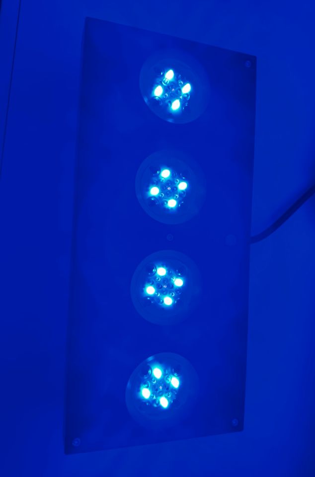 AI Hydra 64 HD LED Aquarium Beleuchtung Meerwasser in Solingen