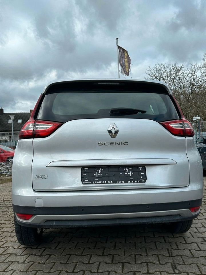 Renault Scenic IV Grand Business Edition in Beckum