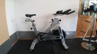 Tomahawk PLATIN Life Fitness Bike Heimtrainer Schwinn Star Trac Bayern - Regensburg Vorschau