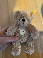 Steiff Teddybär Fynn 15cm neu Bayern - Hof (Saale) Vorschau