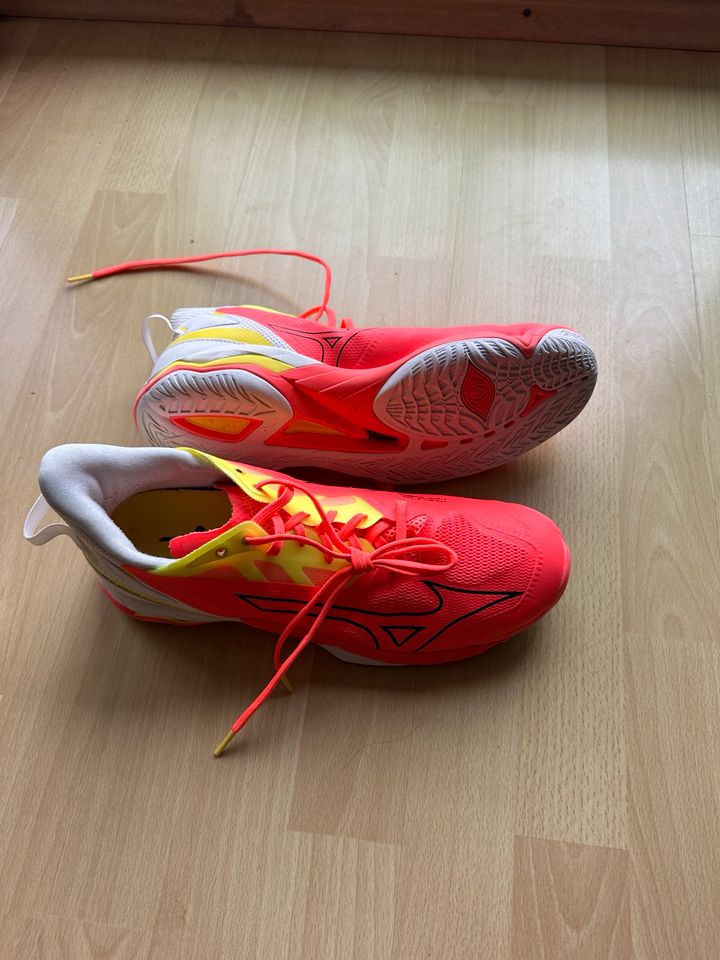 Hallenhandball Schuhe neuwertig Mizuno Enerzy Größe 44 in Suthfeld 