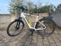 ebike Fahrrad Pegasus Opero Evo 5 750wh Bayern - Großhabersdorf Vorschau