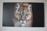 beeindruckendes Puma Bild Leinwand 118 x ca 70 cm 40 € + Versand Nordrhein-Westfalen - Haltern am See Vorschau