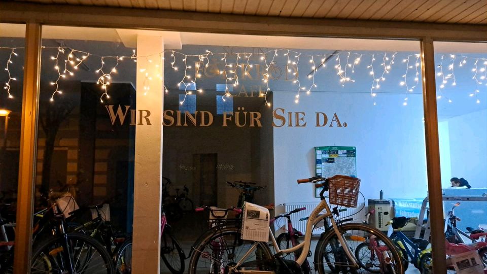 FAHRRADINSPEKTION WARTUNG ,ALLER MARKEN,E-BIKE,REIFEN AB 30 EURO in Herne