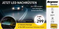 VW LED Nachrüstung *Borgmann* Nordrhein-Westfalen - Krefeld Vorschau