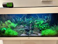 Aquarium 180l inkl. viel Zubehör Rheinland-Pfalz - Herxheim am Berg Vorschau