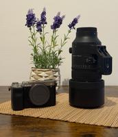 Sony A7C | Alpha 7C & Sigma 70-200 F2.8 Sony E-Mount Sachsen - Eilenburg Vorschau