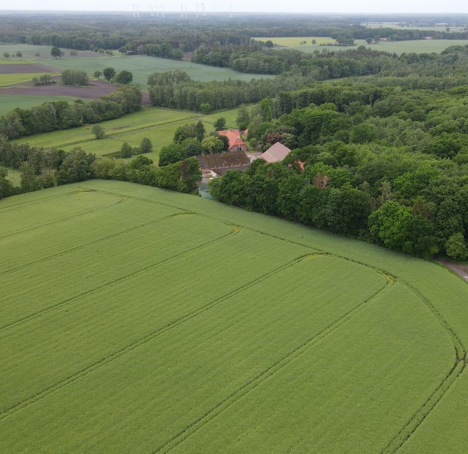 Repräsentative Hofanlage mit Nebengebäuden und ca. 17,5 ha. in traumhafter Alleinlage in Twistringen