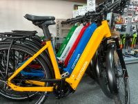 E-Bike Contoura Riemen Akku 750Wh Bosch Perf. CX Kiox 300 Nordrhein-Westfalen - Greven Vorschau