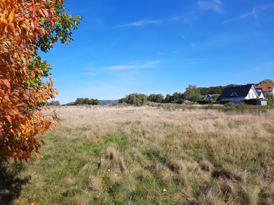 Baugrundstück mit unverbaubarem Blick über die Felder in Bad Oeynhausen-Wulferdingsen in Bad Oeynhausen