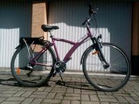 Damenfahrrad Mädchenfahrrad 28 Zoll Reifen Dortmund - Scharnhorst Vorschau