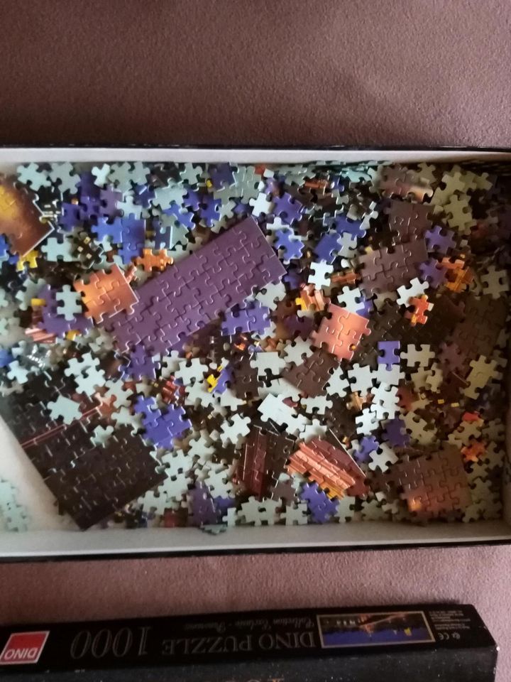 Puzzle Panorama 1000 teilig in Luckau