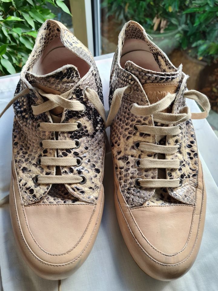 Candice Cooper Sneaker, Größe 41, Schlangenoptik, beige / grau in  Düsseldorf - Oberkassel | eBay Kleinanzeigen ist jetzt Kleinanzeigen