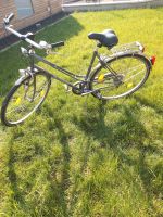 28 " Zoll Alpine Sunrise Fahrrad Bayern - Sulzdorf Vorschau