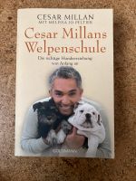 Buch Hundeerziehung von Cesar Milan Niedersachsen - Großenkneten Vorschau