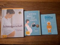 3 Schwangerschaftsbücher u.a. Das große Buch zur Schwangerschaft Baden-Württemberg - Stödtlen Vorschau