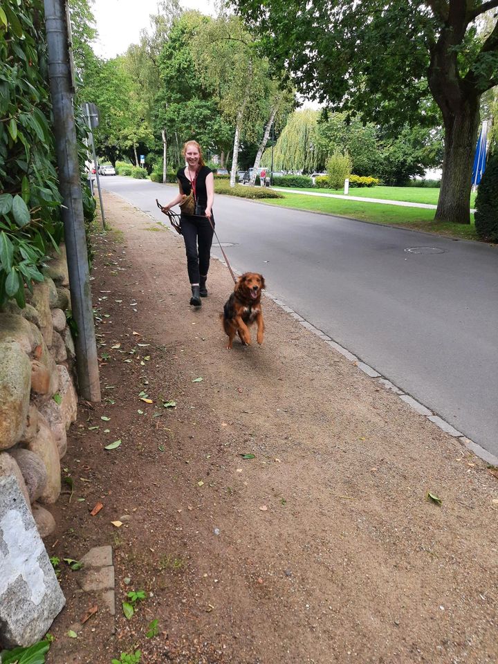 Beschäftiung u. Mantrailing Hamburg/Wendland - Hundeschule in Hamburg