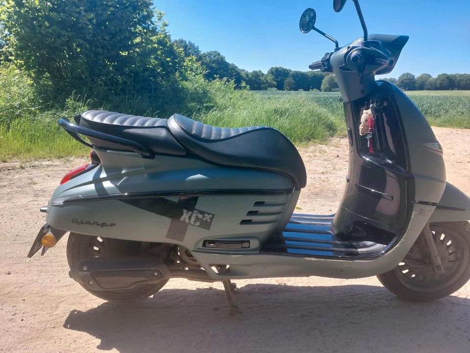 50ccm Peugeot Django 4T Sonderedition Shadow in Großhansdorf