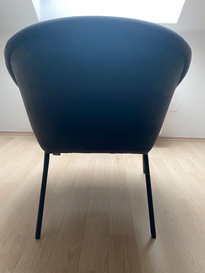 Originaler Walter Knoll 369-10 Samt Sessel in Düsseldorf