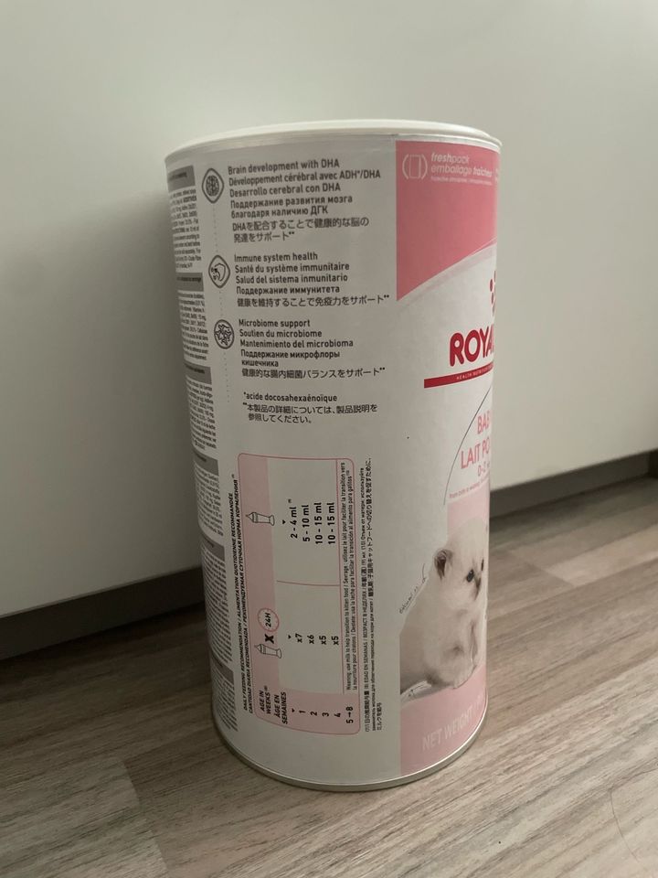 Royal Canin Milch für Katzenbabys in Bergisch Gladbach