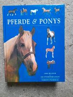 Pferde und Ponys 1000 Bilder, 200 Rassen Buch Baden-Württemberg - Sinsheim Vorschau