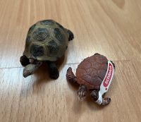 Schleich Karett- u. Riesenschildkröte Neu Saarland - Wallerfangen Vorschau