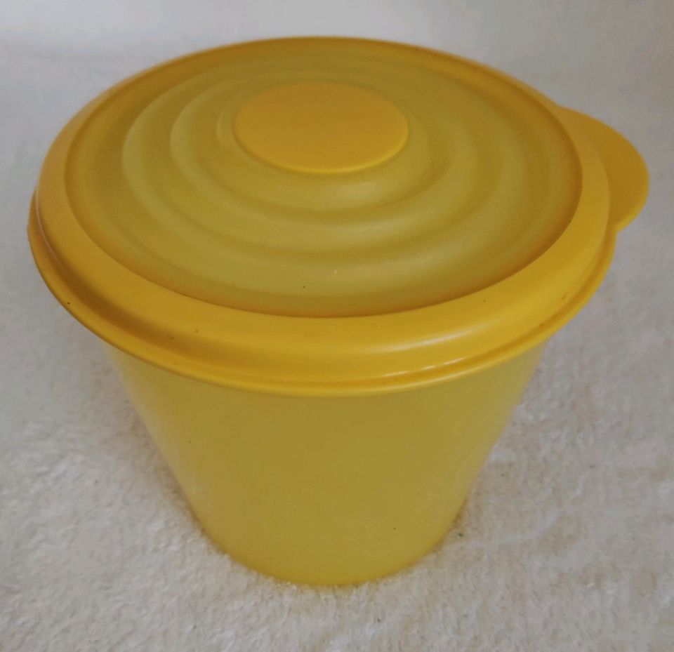 Tupperware Schüssel Bungee gelb 800ml Dose in Marktoberdorf