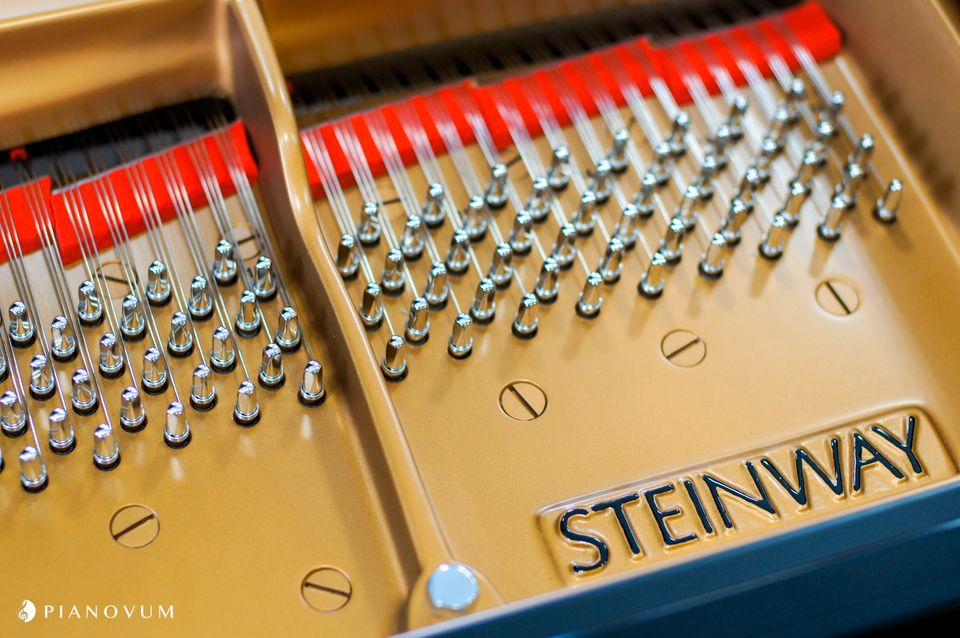 STEINWAY & SONS Flügel D-274 Bj. 2005 in Wuppertal