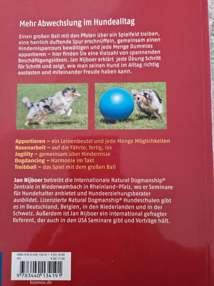 Beschäftigung für Hunde - Treibball, Apportieren, Nasenarbeit in Darmstadt