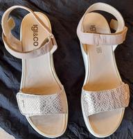 Damen Schuh Nordrhein-Westfalen - Gladbeck Vorschau