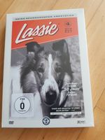 DVD Lassie Klassiker TV Serie Jubiläumsausgabe für 5 Euro Nordrhein-Westfalen - Mönchengladbach Vorschau