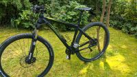 MTB Steppenwolf Taiga 29 XT Münster (Westfalen) - Wolbeck Vorschau