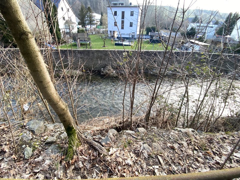 Uferstreifen in Chemnitz