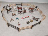 Schleich Sammlung, Pferd, Reiter, Zaun, Zubehör Sachsen - Malschwitz Vorschau