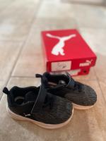 Sneaker Puma Sachsen - Zittau Vorschau