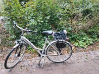 Fahrrad Damenfahrrad Nordrhein-Westfalen - Nieheim Vorschau