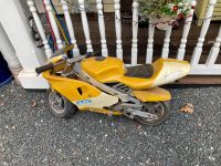 Motorrad, Spielzeug Rheinland-Pfalz - Waldalgesheim Vorschau