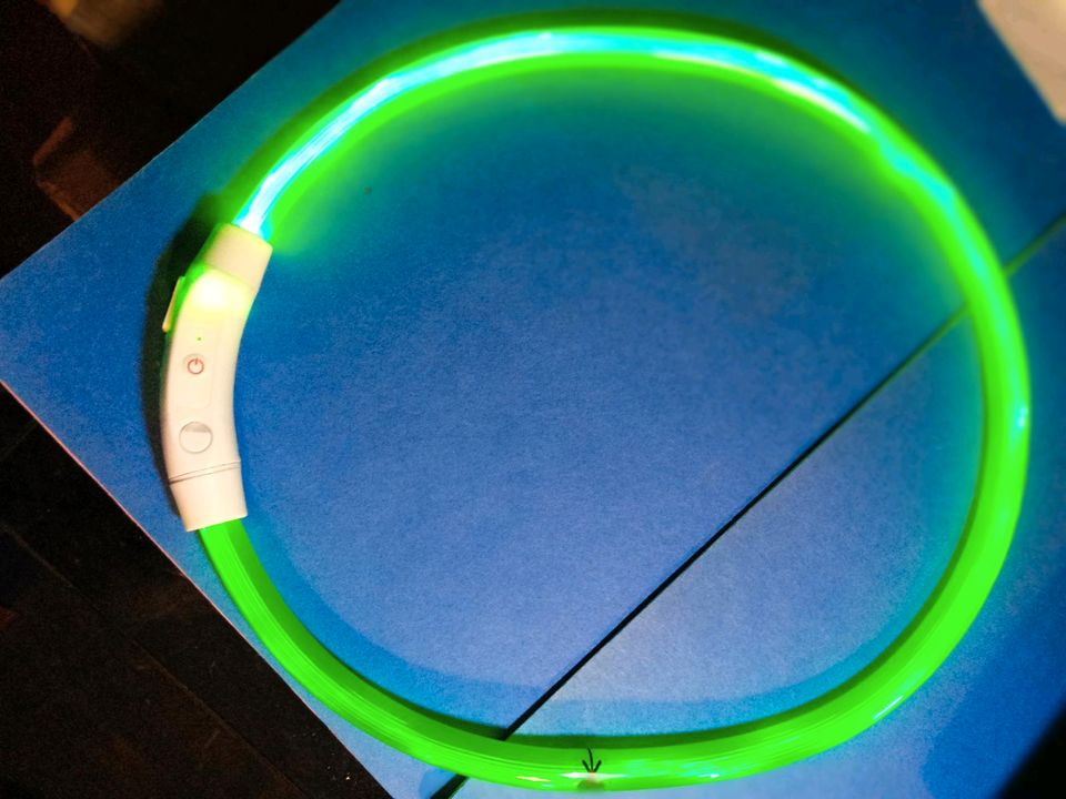 LED Hundehalsband ( NEW) USB in Uedem