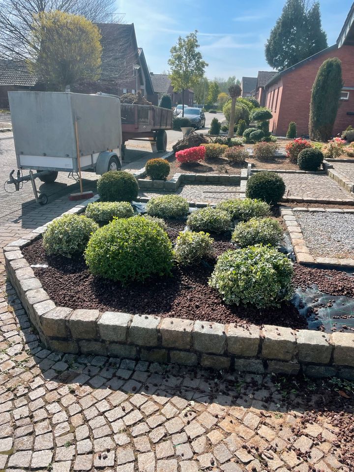 Gartenpflege, Rollrasen,Heckenschnitt und v.m in Waldfeucht