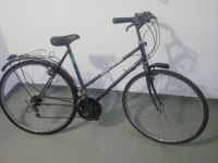 Damenrad Alu cityrad MANHATTAN schwarz 28" Gangschaltung Bastler Brandenburg - Schwedt (Oder) Vorschau