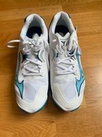 Mizuno Wave Lightning Z8 | Volleyball-Sportschuhe | 46 München - Au-Haidhausen Vorschau