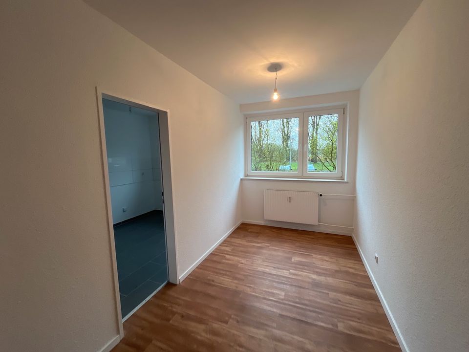 3-Zimmer, neu saniert in Celle