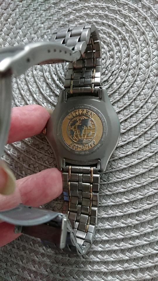 Citizen titanium wr100 price sale